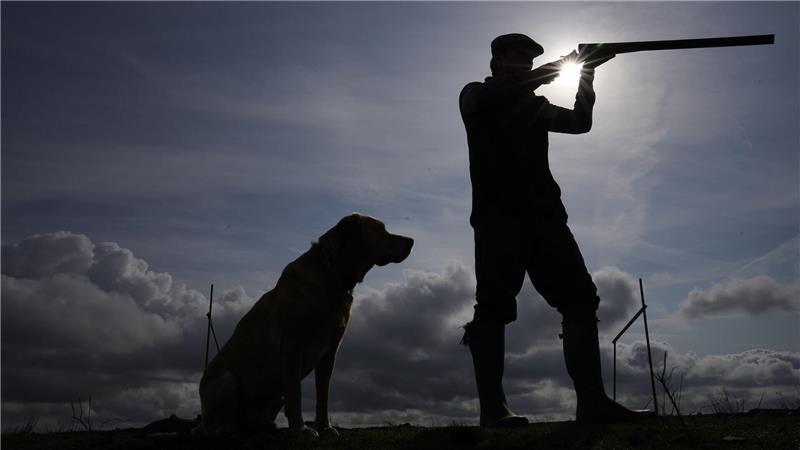 Bei der Moorhuhnjagd wird immer noch vor allem bleihaltige Munition eingesetzt. (Symbolfoto)