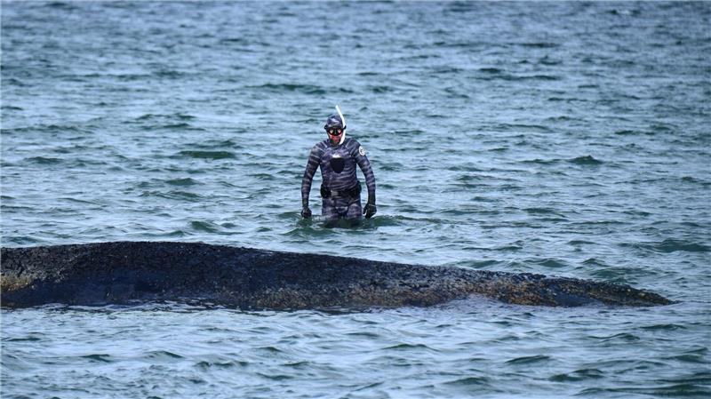 Bei der Rettungsaktion vor Timmendorfer Strand hat Lehmann unterstützt. (Archivbild)
