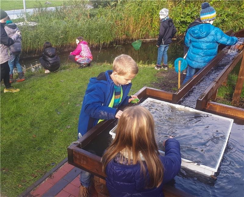 Bei der diesjährigen Naturschutzwoche geht es um Energiegewinnung aus Wasserkraft. Foto: Bock