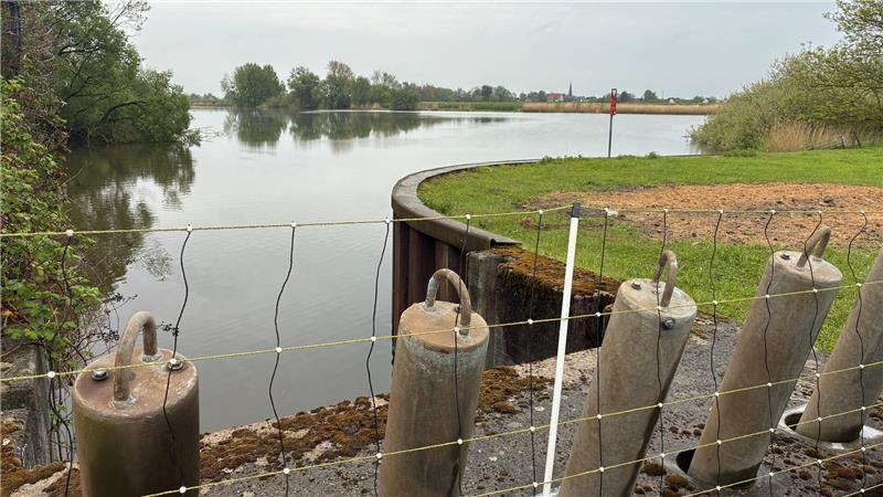 Bei der klimawandelbedingten Deicherhöhung sollen die Freiflutsiele durch fischfreundliche Schöpfwerke ersetzt werden, um Binnenelbe und Hauptwettern über Pumpen auch in die Elbe entwässern zu können, wenn der Wasserspiegel außendeichs höher ist.