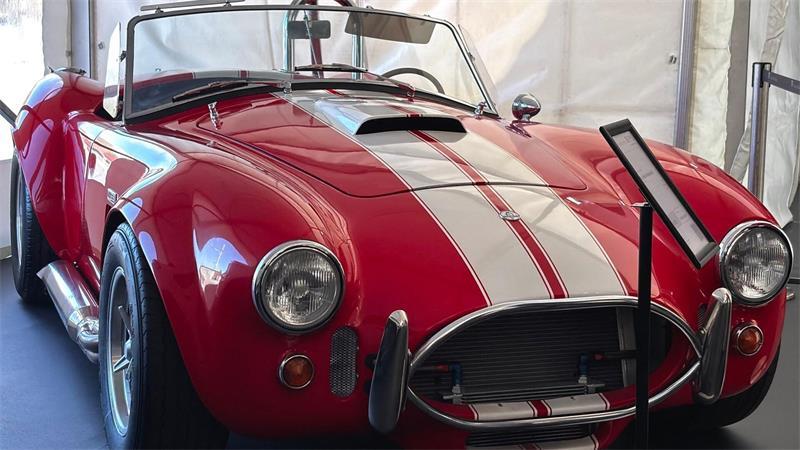 Justizauktion: Bieter liefern sich Rennen um Luxusautos Bei diesem Wagen handelt es sich um einen Nachbau eines Shelby Cobras aus dem Jahr 2005 aus den USA.