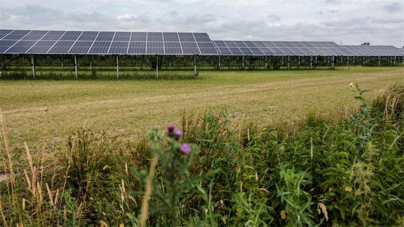 E-Trends: Vom Gefangenenwagen bis zum Stallroboter Bei einem Agri‑PV‑Park werden Landwirtschaft und Solarstromerzeugung verbunden. In Lemwerder im Landkreis Wesermarsch werden auf rund 18 Hektar Land Milchviehhaltung mit der Stromerzeugung aus Solarenergie verknüpft.