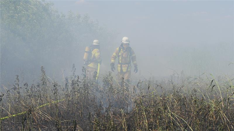 Flächenbrand nahe Festung Grauerort – Landwirte unterstützen Feuerwehr Bei einem Flächenbrand in Abbenfleth nahe der Festung Grauerort gestalteten sich die Löscharbeiten schwierig. Foto: Feuerwehr Bützfleth