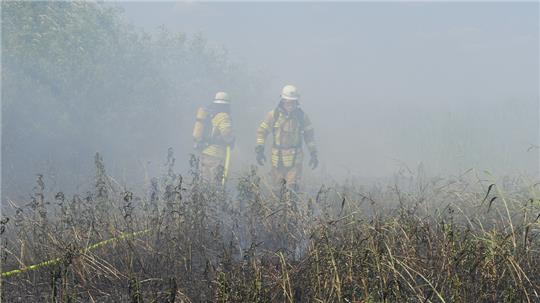 Bei einem Flächenbrand in Abbenfleth nahe der Festung Grauerort gestalteten sich die Löscharbeiten schwierig. Foto: Feuerwehr Bützfleth
