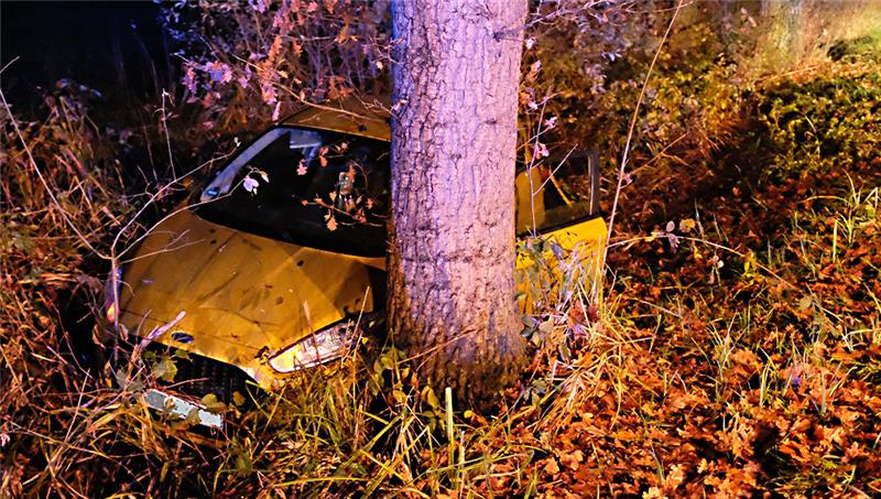Bei einem Unfall auf der Bundesstraße 73 wurde ein Ford Fiesta in den Graben geschleudert. Er kam kurz vor einer Eiche zum Stehen. Foto: Feuerwehr/Rolf Hillyer-Funke