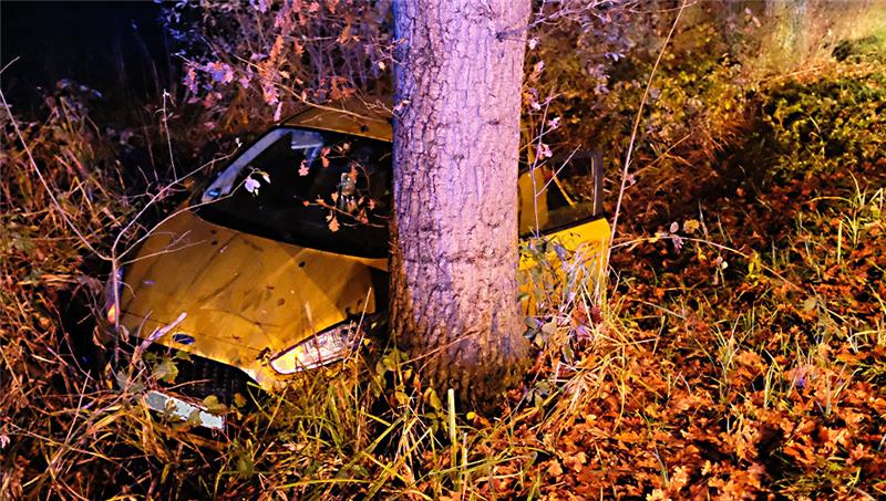 Unfall auf B73: Auto verfehlt Baum nur knapp Bei einem Unfall auf der Bundesstraße 73 wurde ein Ford Fiesta in den Graben geschleudert. Er kam kurz vor einer Eiche zum Stehen. Foto: Feuerwehr/Rolf Hillyer-Funke