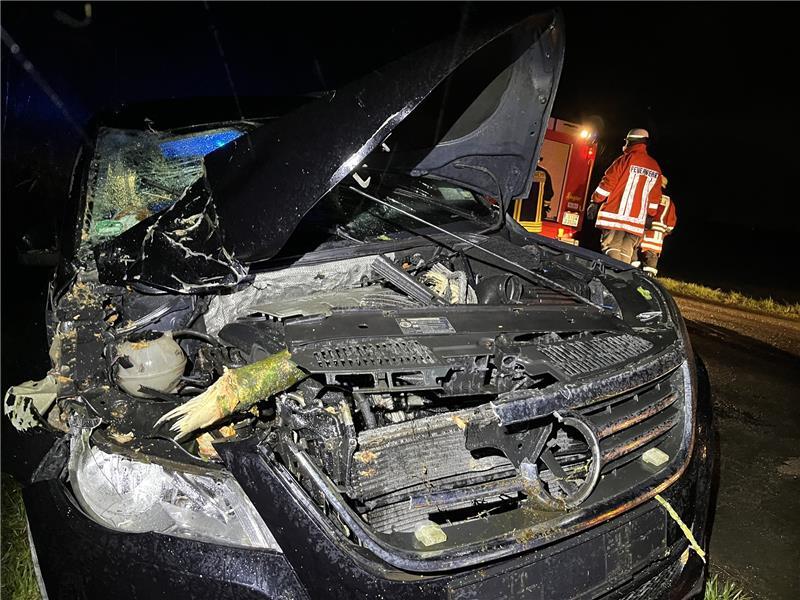 Sturmschäden: „Zeynep“ kostet Versicherer über 900 Millionen Euro Bei einem Unfall in Groß Sterneberg durchbohrte ein Ast das Auto einer 54-Jährigen aus Hammah. Foto: Vasel