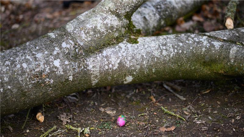 Bei einem Unglück am Ostersonntag sterben im nördlichen Schleswig-Holstein drei Menschen.