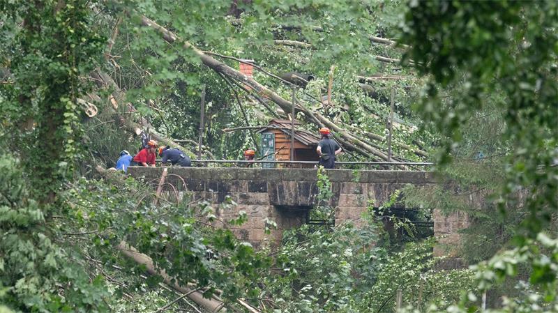 Bei einem Unwetter stürzten zalhreiche Bäume um. 