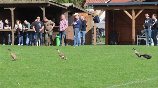 Bei einem wenig unterhaltsamen Spiel in Burweg sorgten zumindest Enten auf dem Spielfeld für einen kleinen Höhepunkt.