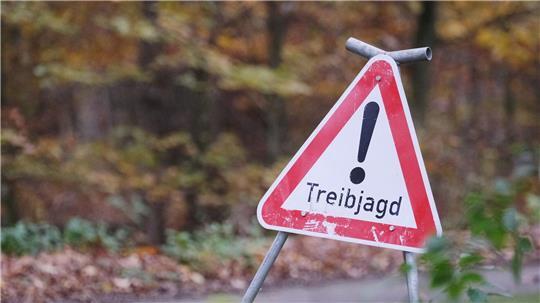 Bei einer Treibjagd sind zwei Spaziergänger durch Schrotkugeln leicht verletzt worden. (Symbolbild)