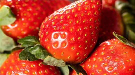 Bei frischen Beeren unterscheidet sich der Preis zwischen Bio- oder konventionellen Produkten deutlich.