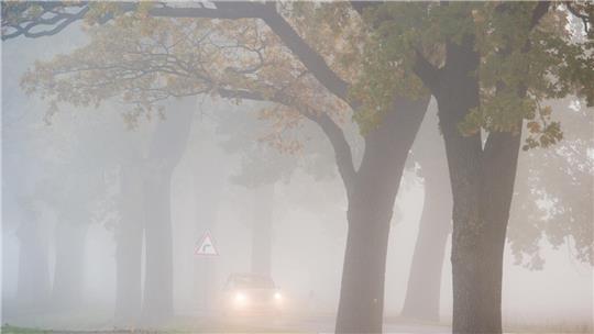  Bei plötzlich auftauchendem Nebel sollten Fahrer Tempo rausnehmen und den Abstand zum Vordermann vergrößern. 