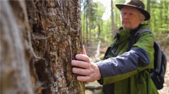 Bei seinen Führungen auf den Spuren der Wildtiere erklärt Kenny Kenner auch, warum Wölfe heulen, und wie man sich verhält, wenn man einem begegnet.