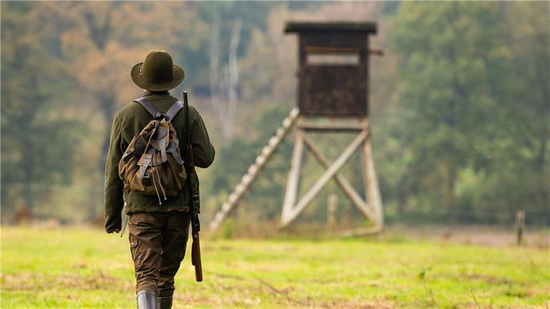 Bei verschiedenen Tierarten haben die Jagdstrecken in Niedersachsen Höchstwerte erreicht. (Archivbild)