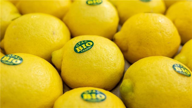 Bei vielen Verbrauchern sind Bio-Lebensmittel beliebt. (Symbolbild)