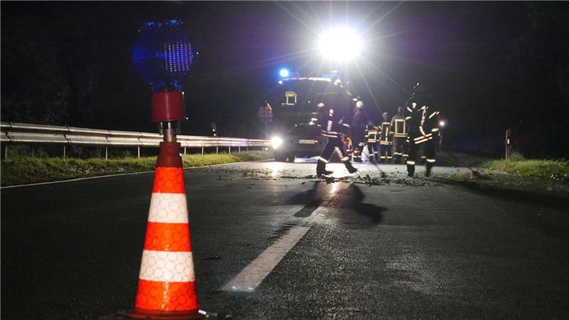 Zwei Autofahrer bei Unfall verletzt, zwei Rinder sterben Beide Autofahrer werden verletzt, zwei Rinder sterben. (Symbolbild)