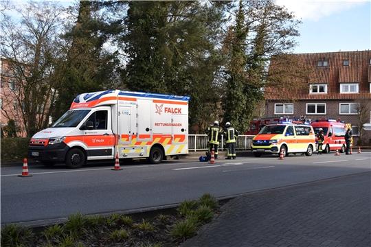 Beide Züge der Buxtehuder Feuerwehr sowie die DLRG aus Horneburg und Buxtehude waren am Montag im Einsatz. Foto: Möller
