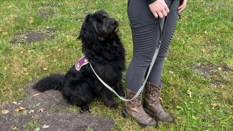 Beim Blocken positioniert Fred sich hinter seinem Teampartner. Das kann Menschen mit psychosozialen Beeinträchtigungen beispielsweise beim Warten in der Schlange helfen, um fremde Menschen fernzuhalten.