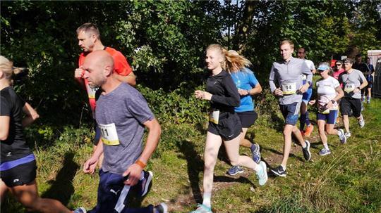 Beim Buschteichlauf werden verschiedene Strecken angeboten.