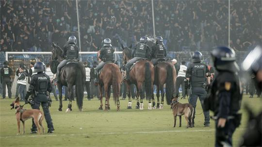 Beim DFB-Pokalspiel in Mannheim war auch berittene Polizei auf dem Spielfeld.