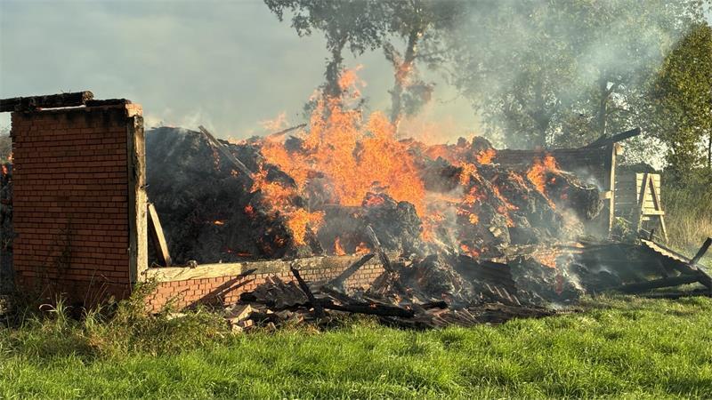 Beim Eintreffen der Feuerwehrleute brannte die Scheune in Kutenholz-Essel bereits lichterloh.