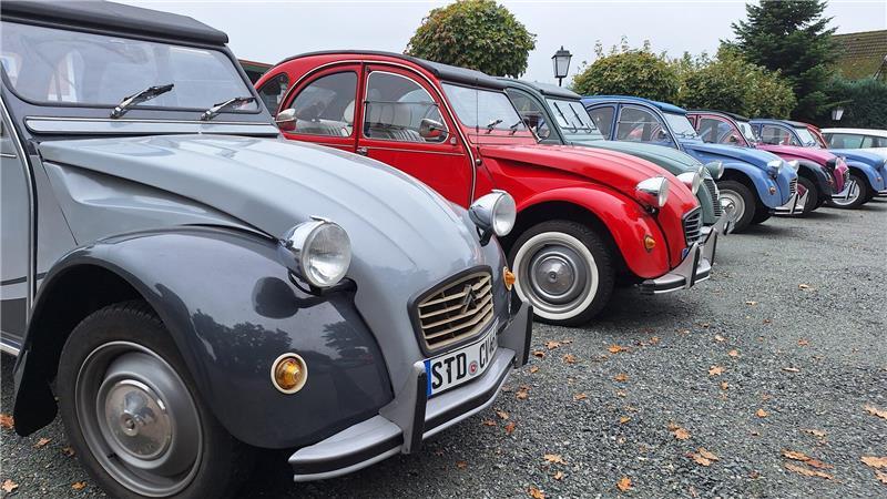 Eine Hommage an ein Kult-Auto: Enten-Treffen in Helmste Beim Enten-Treffen in Helmste.