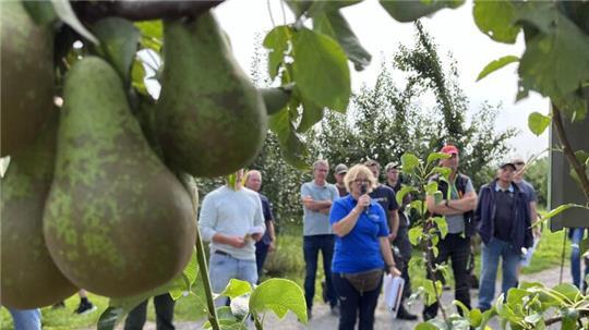 Beim Feld- und Techniktag des Obstbauzentrums Esteburg wirbt Maike Steffens für die Ausweitung des Birnenanbaus.