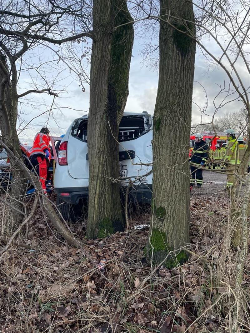 Beim Rückwartsrangieren krachte der Unfallfahrer mit seinem Dacia schließlich gegen einen Baum. Foto: Polizei