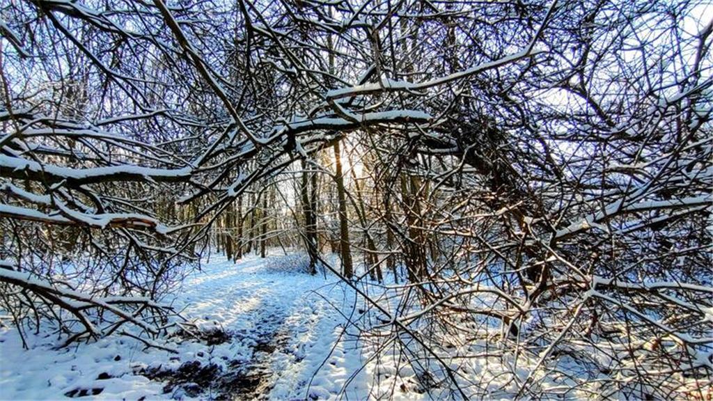 Beim Schneespaziergang in Stade-Ottenbeck hat Steph Reissmann einen natürlich ge...