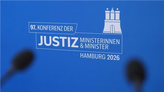 Beim Straftatbestand der Politikerbeleidigungen soll es Einschränkungen geben. 