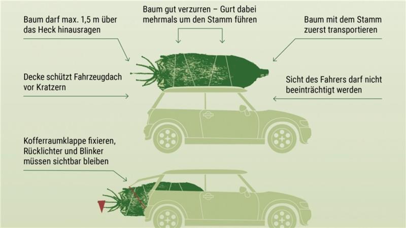 Von Sorten bis zu Preisen: Infos zu den Weihnachtsbäumen in der Region Beim Transport mit dem Pkw darauf achten: Der Baum darf maximal 1,50 Meter über das Heck hinausragen.