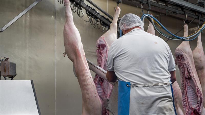 So viel Fleisch essen die Menschen im Kreis Stade Beim Zerlegen von Schweinehälften wuchten die Beschäftigten eine tonnenschwere Last am Tag.