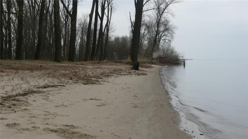 Beim kleinen Tide-Auwald werden bei Hochwasser bereits Baumwurzeln freigespült.