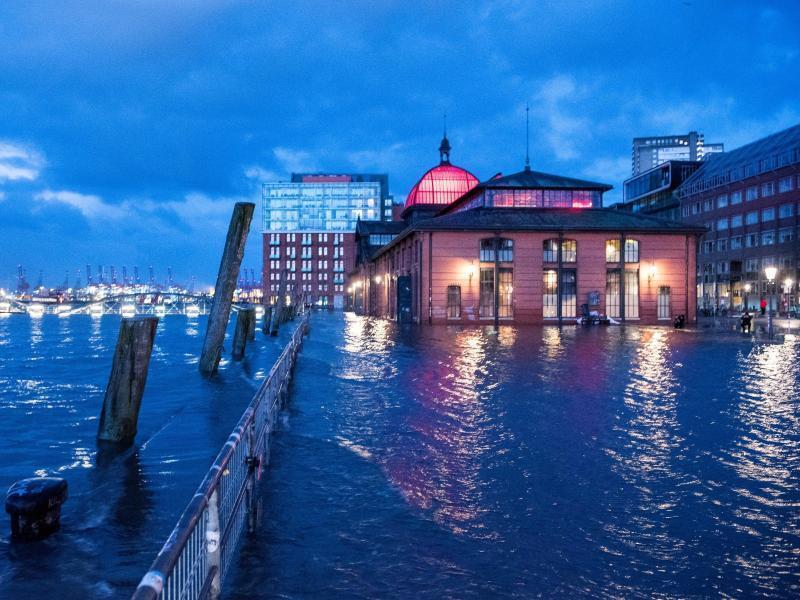 Bereits am Samstagmorgen stand der Fischmarkt mit der Fischauktionshalle in Hamburg unter Wasser. Archivfoto: Daniel Bockwoldt/dpa