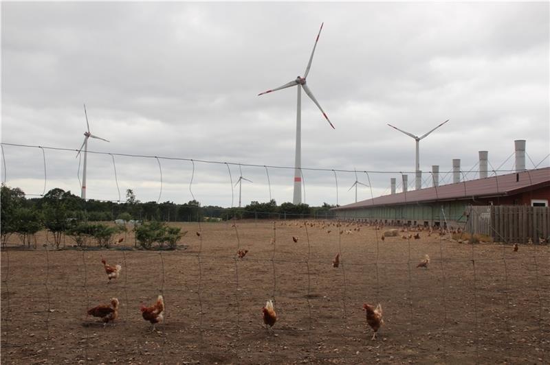 Bereits die Rotoren des Windparks Immenbeck stehen nah an den Freilandställen des Geflügelhofs Schönecke. Die drei geplanten Anlagen des Windparks Ardestorf sollen noch dichter an die Geflügelfarm rücken. Foto: Wahba