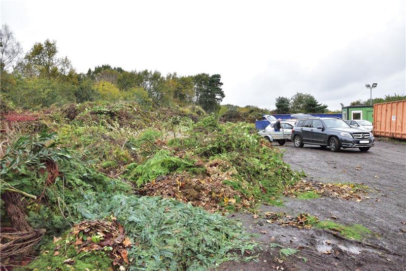Bergeweise Grünabfall wird auf dem Kompostierplatz im Sande abgeladen. Foto: Archiv
