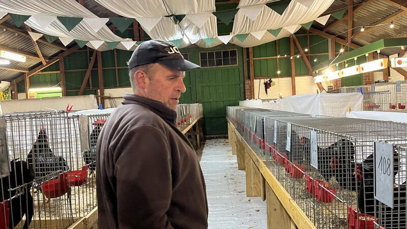 Züchter zeigen ihre schönsten Tiere - aber wie lange noch? Bernd Meyer wirft einen prüfenden Blick auf seine Hühner. Er züchtet die Rasse "Italiener".