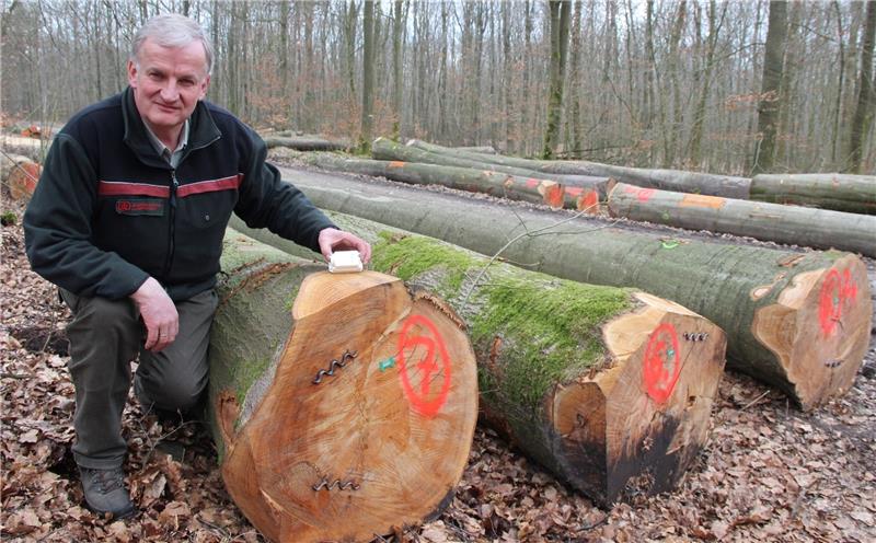 Bernd Westphalen , Leiter der Revierförsterei Rosengarten, könnte den kleinen Peilsender so in die frisch geschlagenen Eichen einbauen, dass er nicht zu finden ist. Die Förster setzen die GPS-Tracker für teures Wertholz, aber auch für Brenn