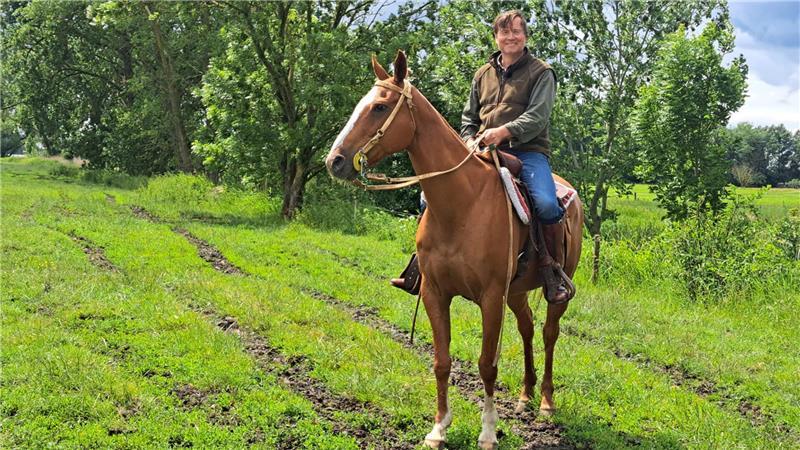 Krautsand im Fokus: NDR dreht Reportage über Rinderzüchter Besondere Fangaktion: Mit Pferd und Lasso will Tierarzt Sebastian Fietze kranke Ochsen aus der Herde fangen.