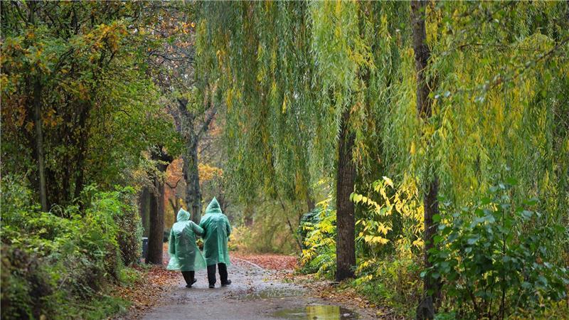 Besonders der Oktober war laut der DWD-Meteorolgen ein nasser und trüber Herbstabschnitt. (Symbolbild)
