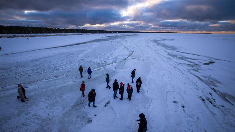Winterwetter zum Wochenstart: Schnee, Wind und Glätte Besonders in Mecklenburg-Vorpommern muss auf stürmische Böen geachtet werden. (Archivbild)