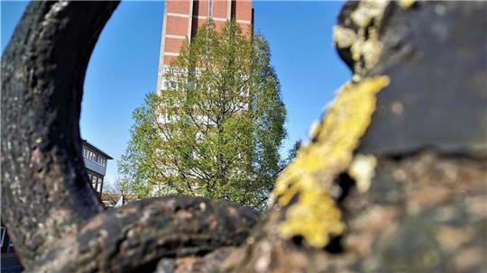  Rathausturm in Nordenham