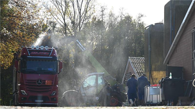 Besonders viele Geflügelpest-Fälle gibt es im Landkreis Cloppenburg - die Tiere in den betroffenen Ställen müssen tierschutzkonform getötet und anschließend beseitigt werden.
