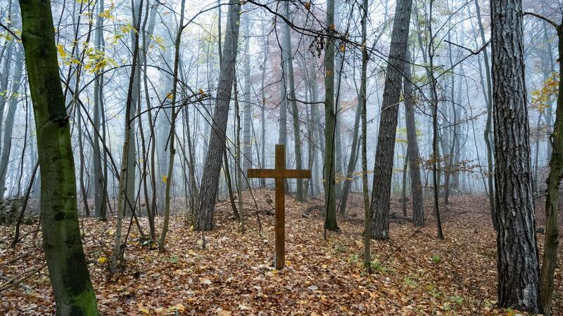 Immer weniger kirchliche Bestattungen in Niedersachsen Bestattungen in Wäldern sind günstiger als auf einem klassischen Friedhof. (Archivbild)