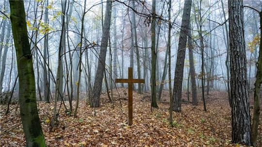 Bestattungen in Wäldern sind günstiger als auf einem klassischen Friedhof. (Archivbild)