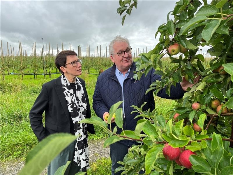 Pflanzenschutz und Hilfspaket: Wie der Bund dem Obstbau aus Krise helfen will Besuch aus Berlin: Staatssekretärin Silvia Bender (Grüne) im Gespräch mit dem Vorsitzenden der Bundesfachgruppe Obstbau, Jens Stechmann, auf einer Apfelplantage bei Jork. Foto: Vasel