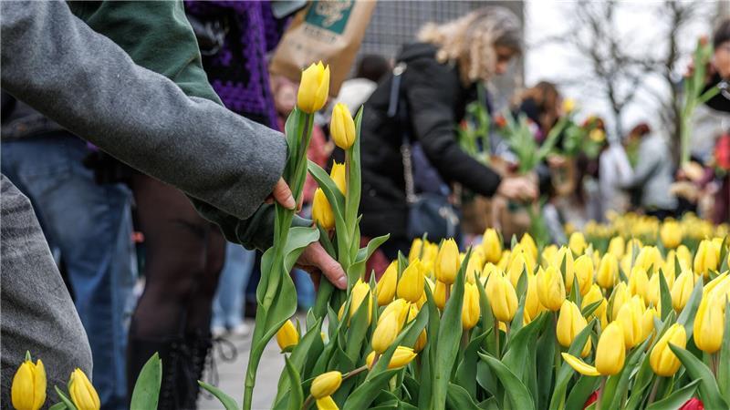 Besucher des „Tulip Day Berlin“ am Breitscheidplatz wählen aus dem bunten Blumenangebot ihre Tulpen aus.
