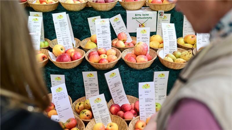 Grüne Woche gestartet - Sichere Ernährung im Blick Besucher können sich über Lebensmittel informieren.