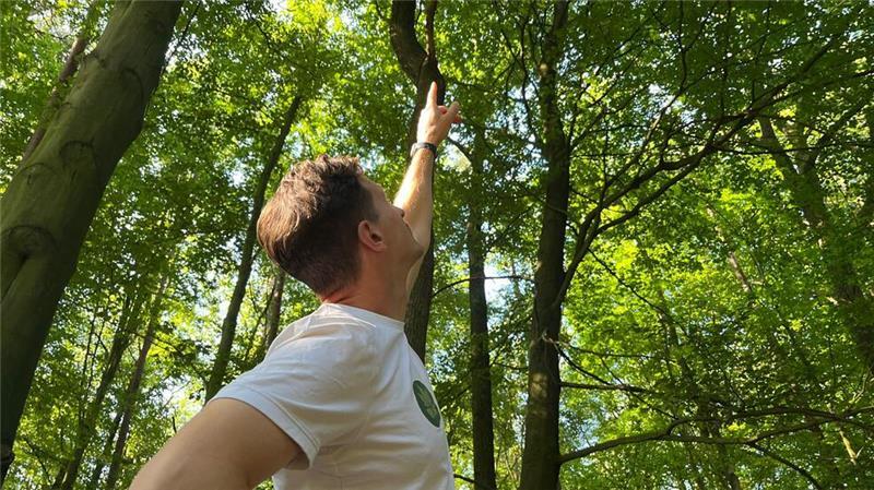 Bevor der Ruhewald in Betrieb genommen werden kann, muss noch Totholz herausgeschafft werden.